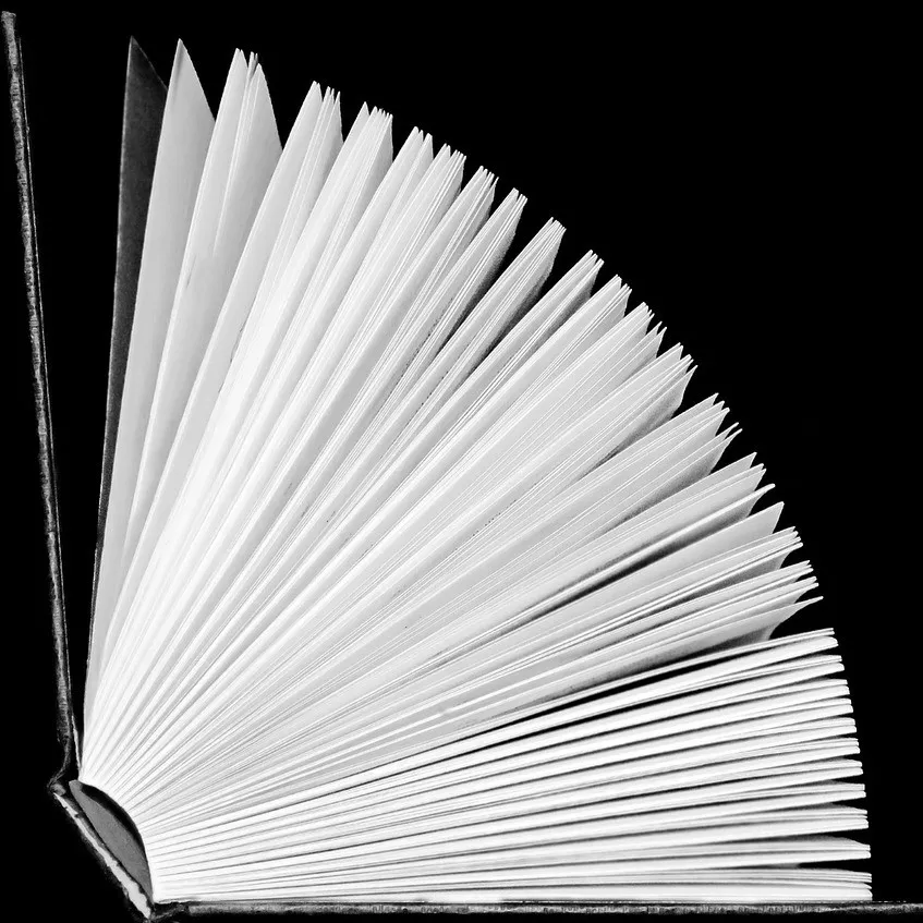 Quelle: Pixabay sich aufblätterndes Buch in s/w